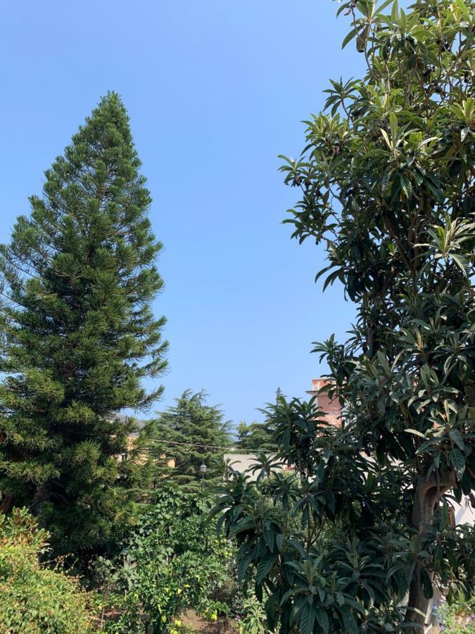 Apartament Casa Diana Arianna Lipari  Zewnętrze zdjęcie